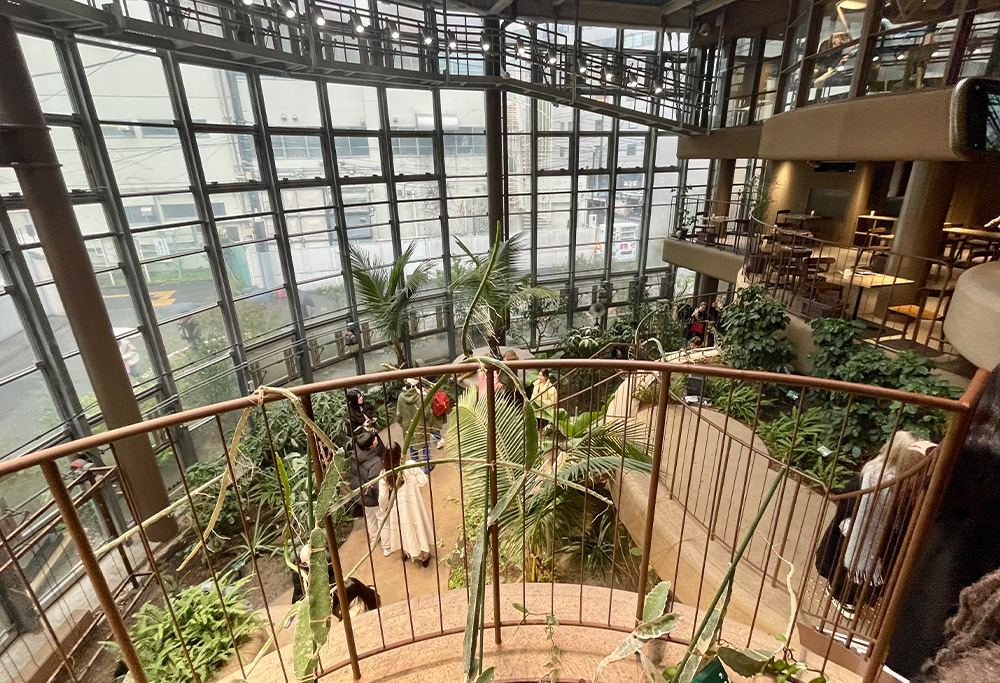 渋谷区ふれあい植物センター画像