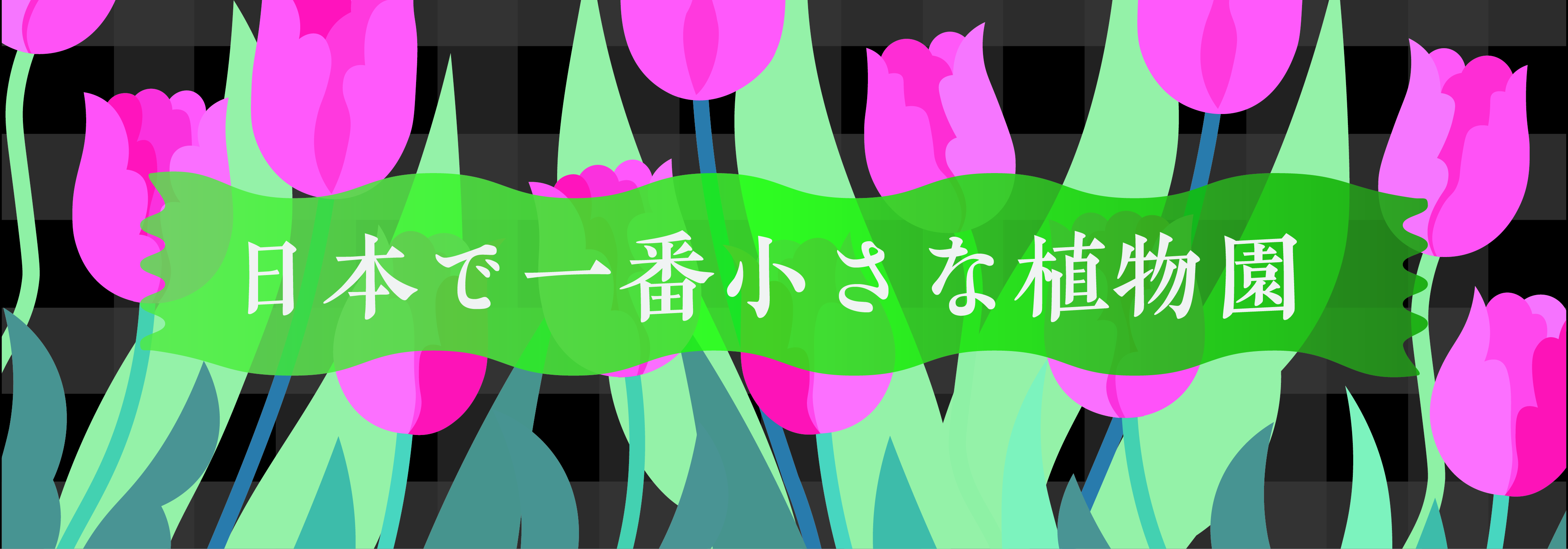 日本で一番小さな植物園