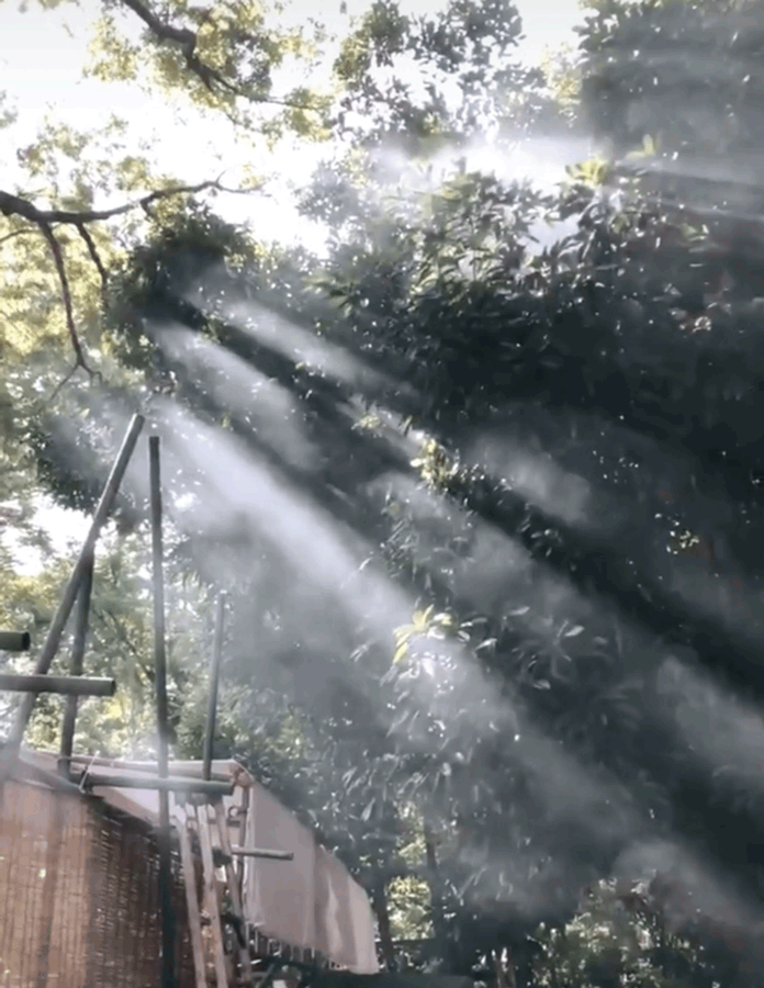 カマクラのエン