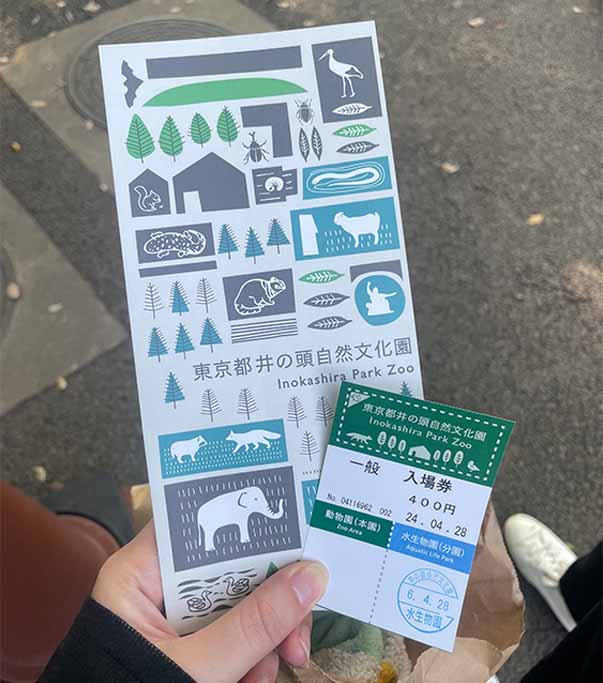 チケットの写真