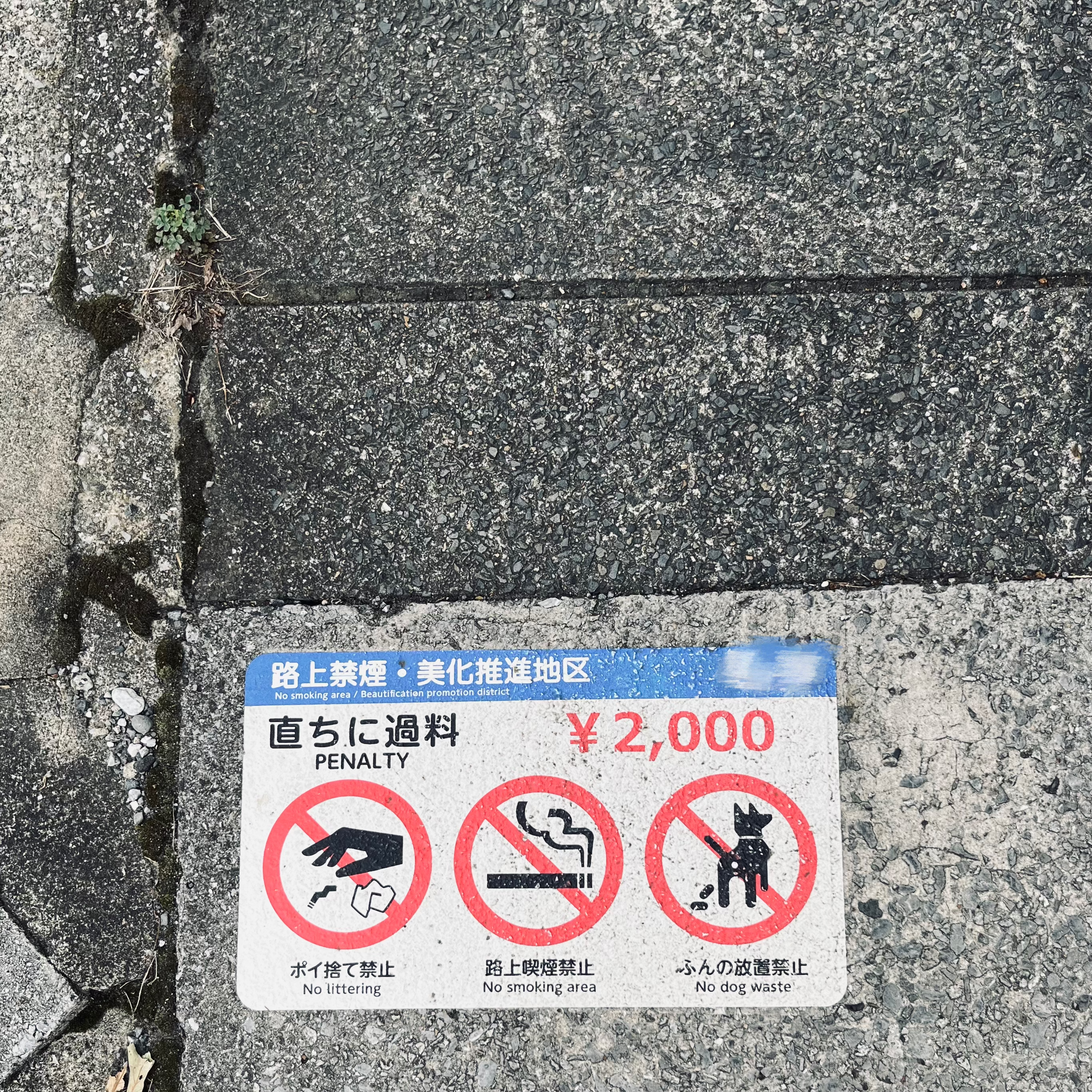 たったかた～んのエン