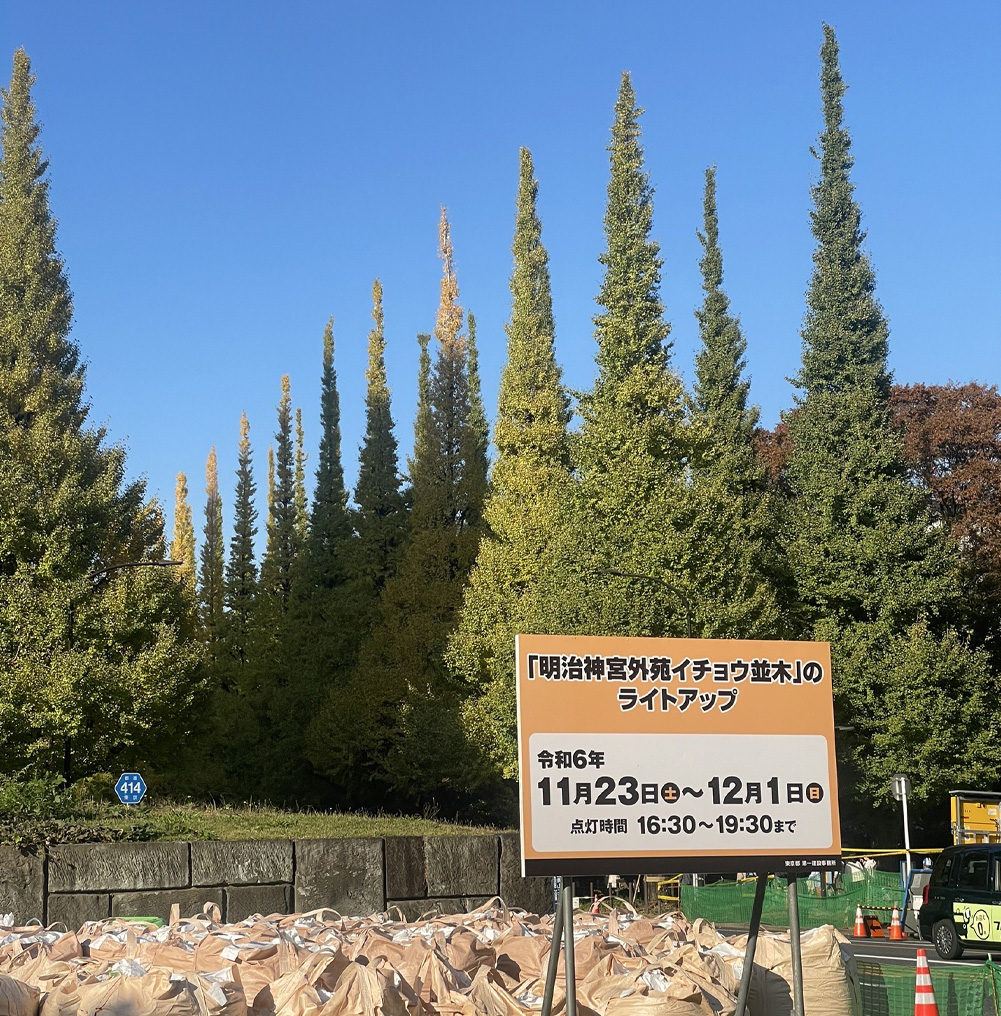 明治神宮外苑の銀杏の写真