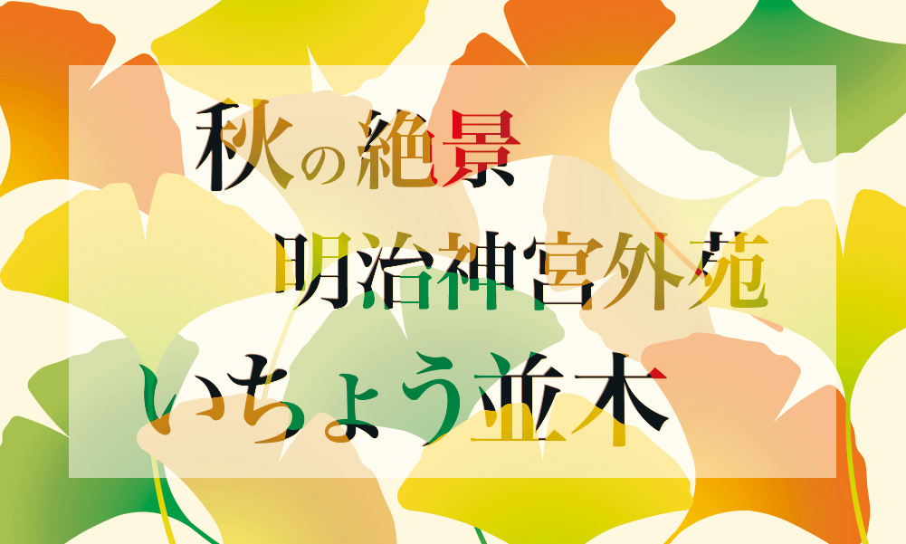 明治神宮外苑「いちょう並木」レポート！